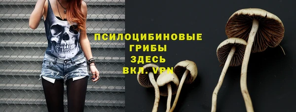 спайс Баксан