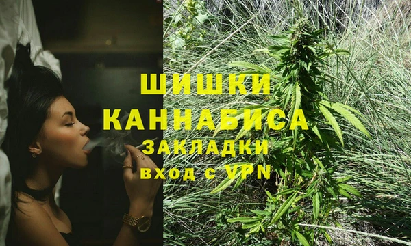 спайс Баксан