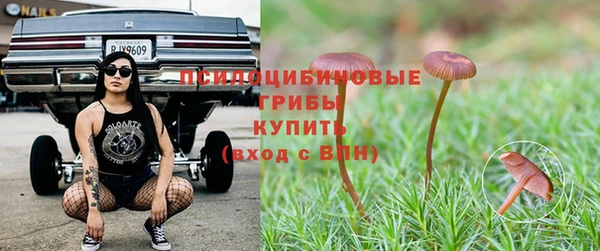 мет Арсеньев