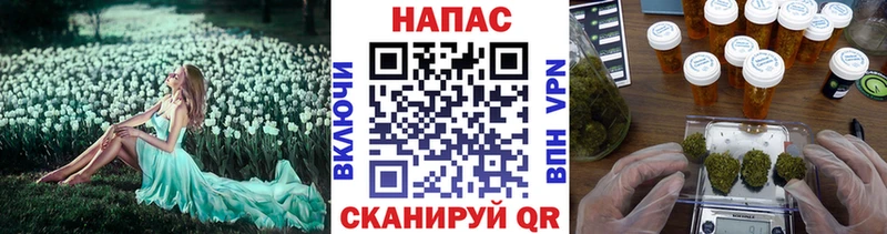 Каннабис OG Kush  MEGA ссылки  Никольское 